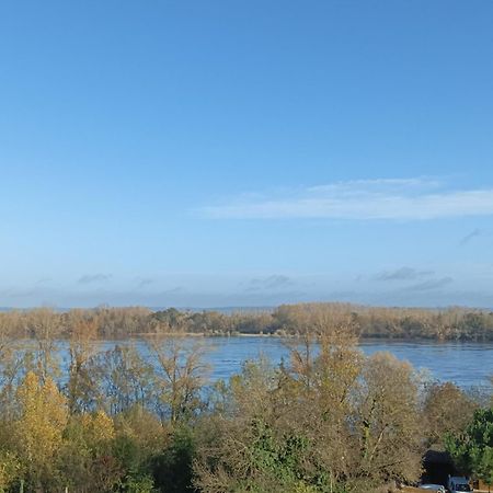 Gite Des Perreyeurs - Maison Troglodyte Avec Vue Sur Loire Montsoreau Εξωτερικό φωτογραφία