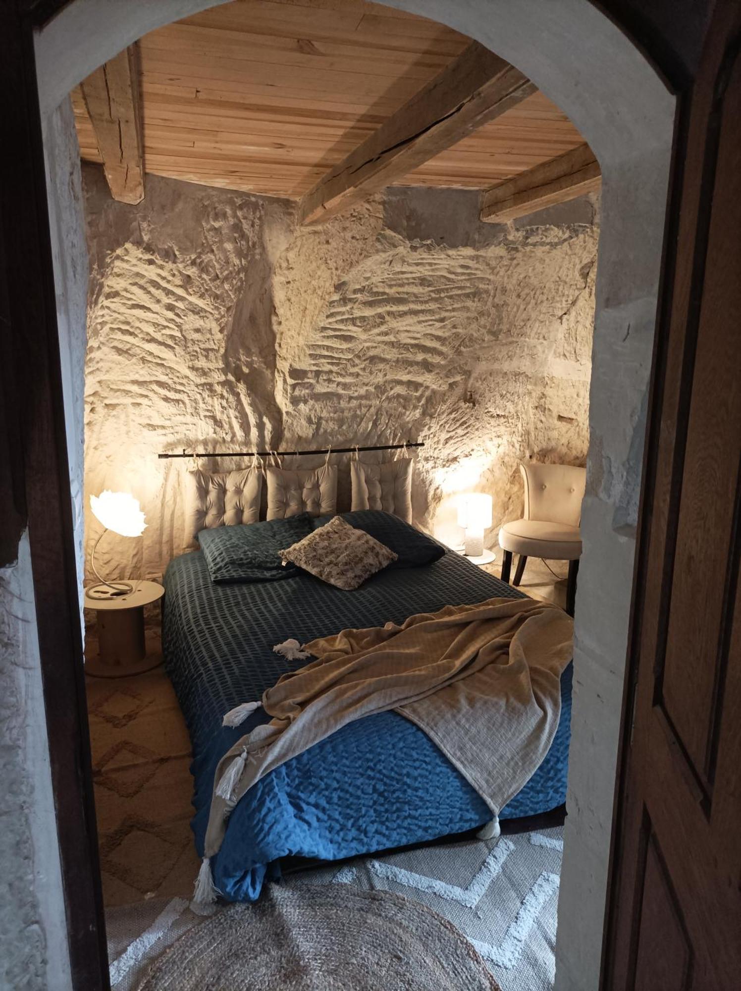 Gite Des Perreyeurs - Maison Troglodyte Avec Vue Sur Loire Montsoreau Εξωτερικό φωτογραφία